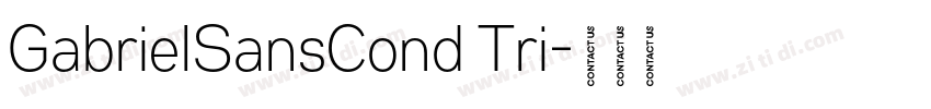 GabrielSansCond Tri字体转换